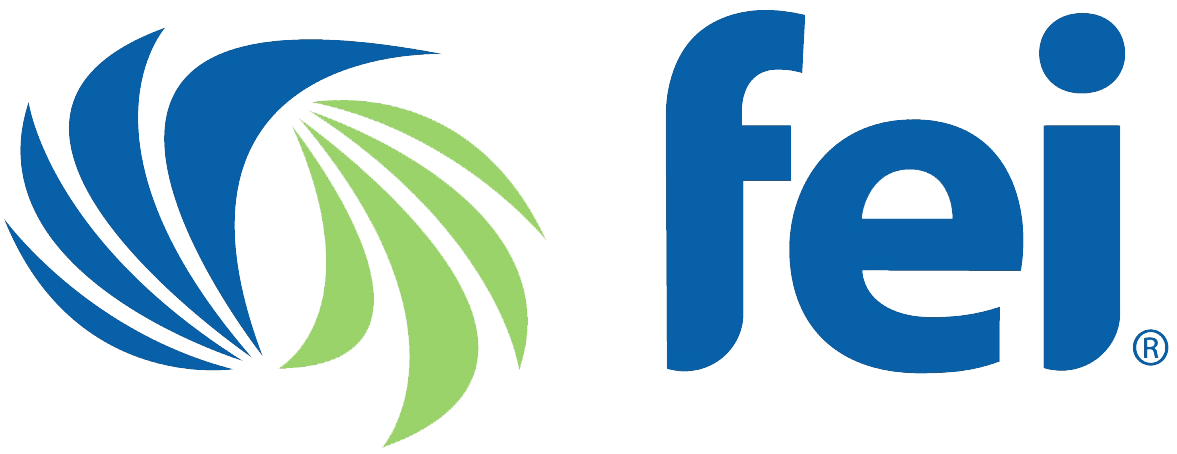 Financial Executives International logo