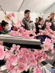 Photograph of a scale model of the superconducting maglev in front of cherry blossoms
