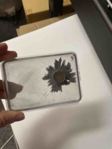 Photograph of a case of iron filings reacting to magnetic forces